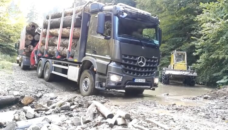 Logging trucks